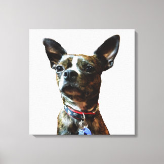 Marv-man Canvas Print