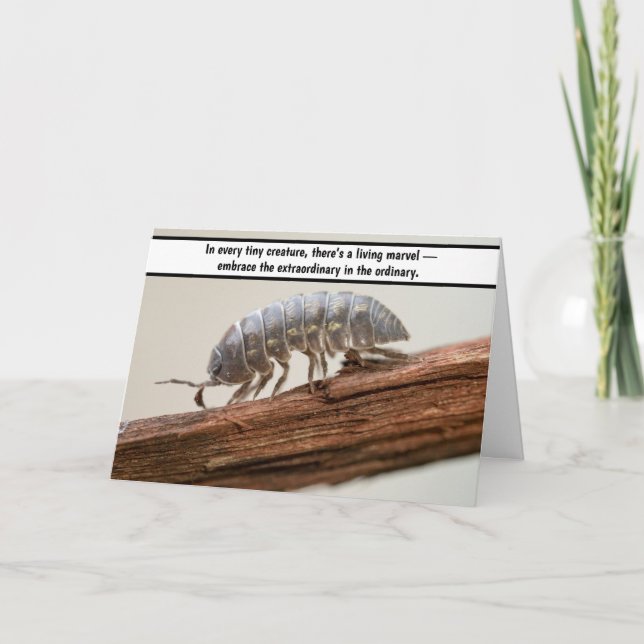 “Marvel in Miniature - The Woodlouse Wonder” Thank You Card (Front)