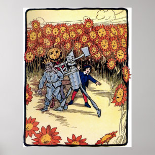 Marvellous Land of Oz Poster