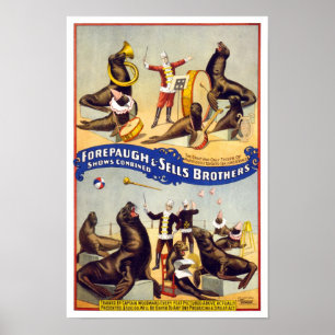 Marvellously Trained Circus Seals, 1899. Vintage Poster