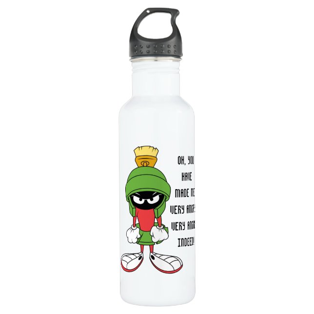 MARVIN THE MARTIAN™ Upset 710 Ml Water Bottle (Front)