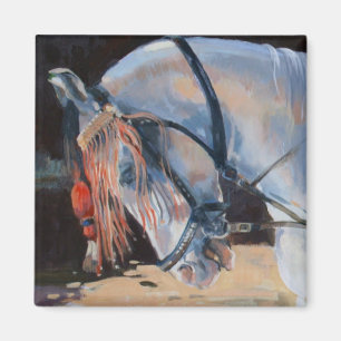 Marwari Horse Rajasthan 2010 Magnet