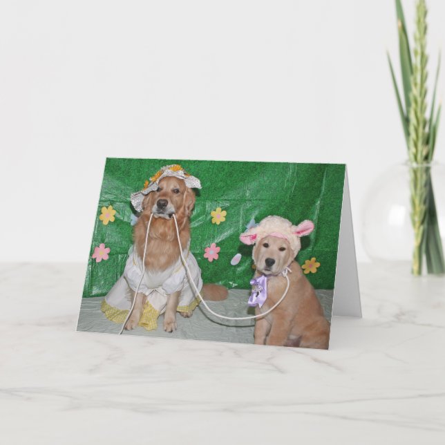 Mary Had a Little Golden for Easter Holiday Card (Front)