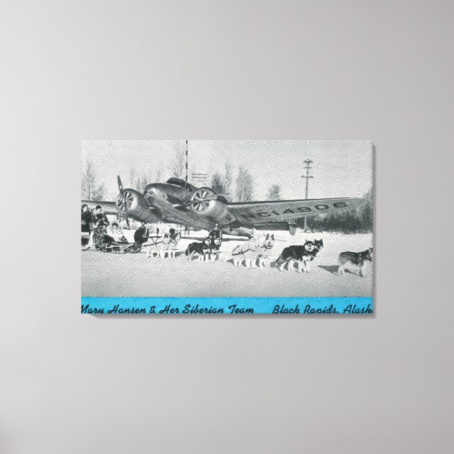 Mary Hansen & Siberians w/ Aeroplane Canvas Print (Front)