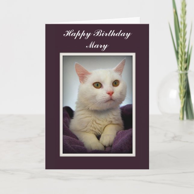 Mary Happy Birthday White Cat Card (Front)