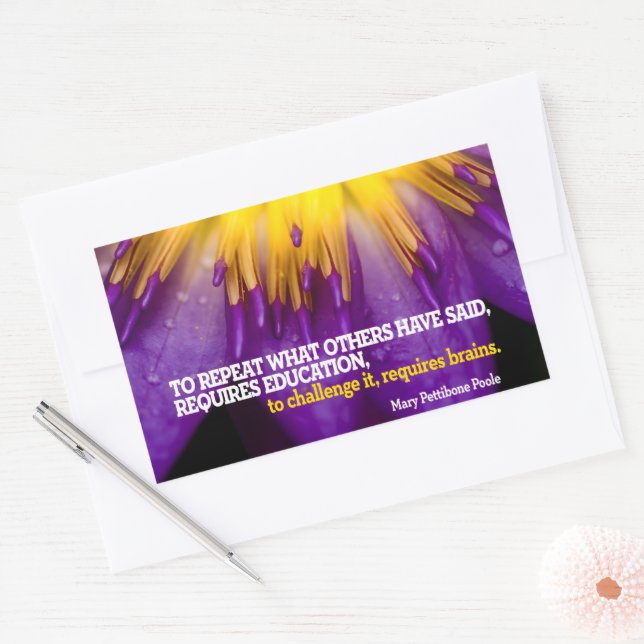 Mary Pettibone Poole Inspirational Quote "Brains" Rectangular Sticker (Envelope)