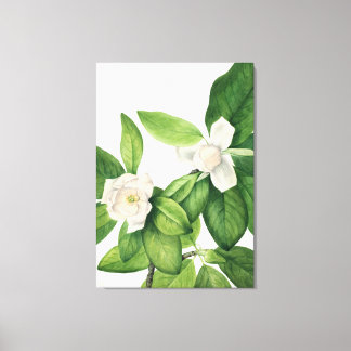 Mary Vaux Walcott art Canvas Print