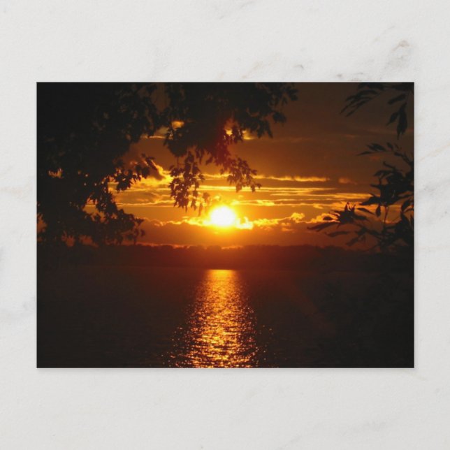 Maryland 2005 postcard (Front)