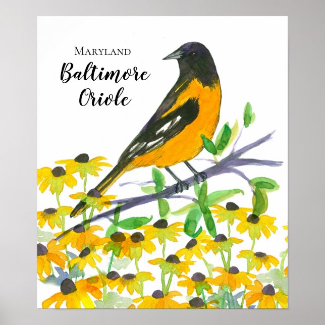 Maryland Baltimore Oriole Black Eyed Susans Poster (Front)