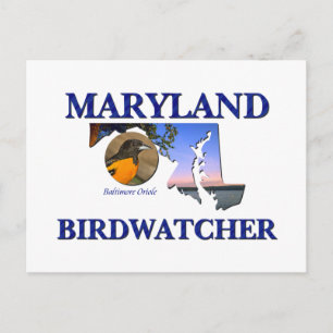 Maryland Birdwatcher Postcard