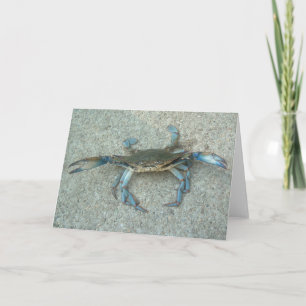 Maryland Blue Crab Greeting Card
