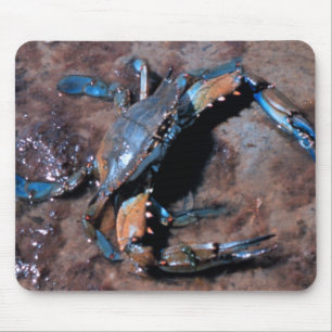 Maryland Blue Crab Mouse Mat