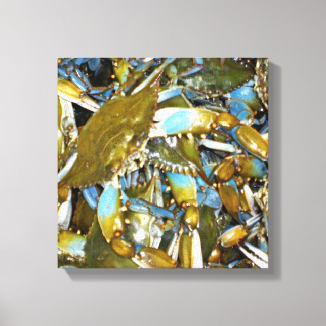 Maryland Blue Crabs Canvas Print (Front)