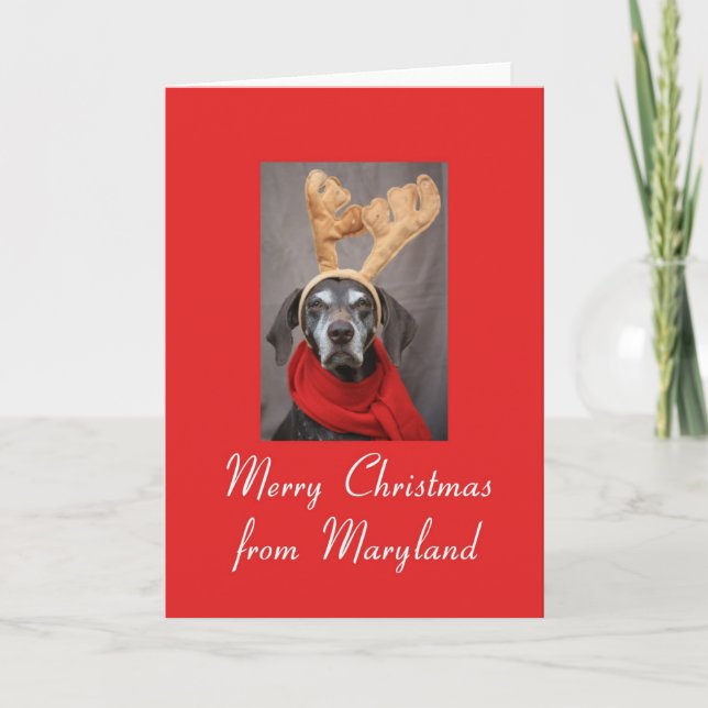 Maryland   Christmas Card, state specific Holiday Card (Front)