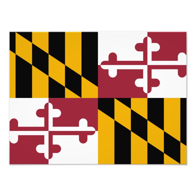 Maryland Flag Photo Print (Front)