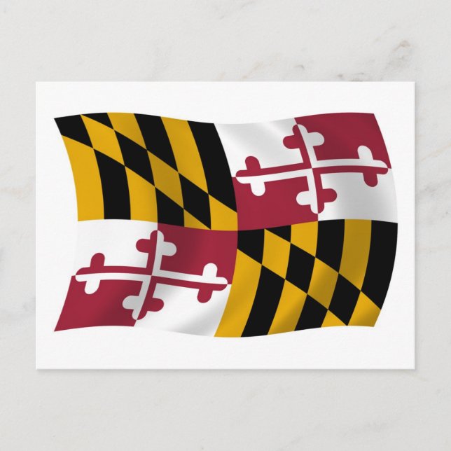 Maryland Flag Postcard (Front)
