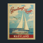 Maryland Sailboat Vintage Travel Postcard<br><div class="desc">This Greetings From Maryland vintage travel nautical design features a boat sailing on the water with seagulls and a blue sky filled with gorgeous puffy white clouds.</div>
