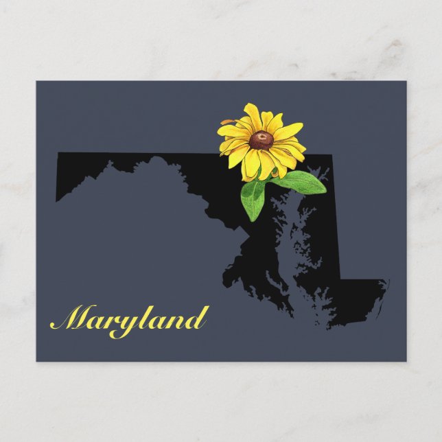Maryland Silhouette Postcard (Front)