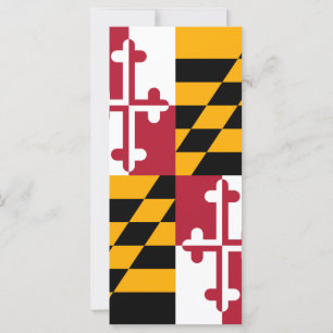 Maryland State Flag Colours Decor