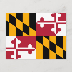 Maryland State Flag Design Postcard