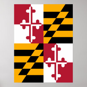 Maryland State Flag Graphic Poster