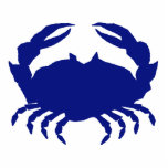 Maryland Steamed Crab Standing Photo Sculpture<br><div class="desc">MAryland Blue Crab</div>
