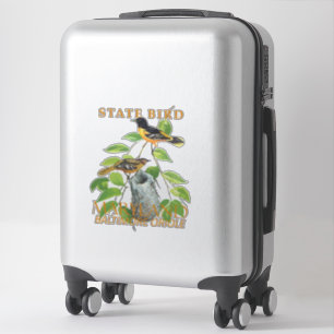 Maryland Territory Bird The Icterus galbula