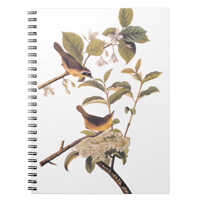 Maryland Yellowthroat Audubon Birds in Olive Tree Notebook (Front)