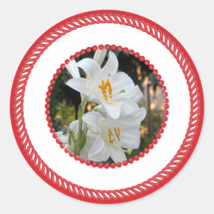 Mary's Lily, Jesse Tree Classic Round Sticker