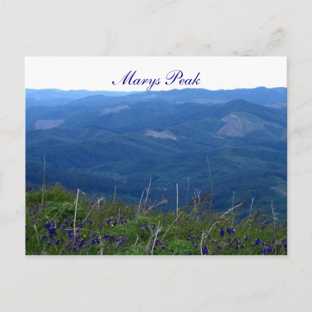 Marys Peak Postcard (Front)