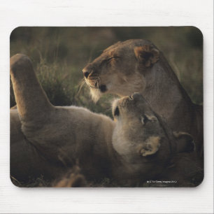 Masai Mara National Reserve 7 Mouse Mat