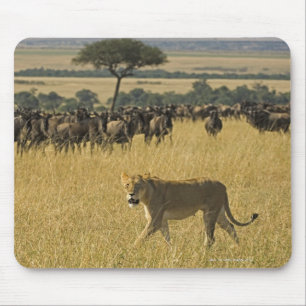 Masai Mara National Reserve, Kenya, Africa Mouse Mat