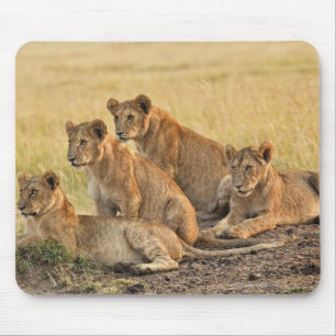 Masai Mara National Reserve, Kenya, Jul 2005 Mouse Mat