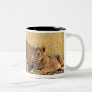 Masai Mara National Reserve, Kenya, Jul 2005 Two-Tone Coffee Mug