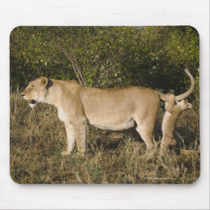 Masai Mara National Reserve, Kenya Mouse Mat