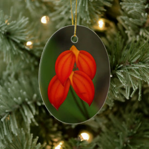 Masdevallia ignea Orchid Ceramic Tree Decoration
