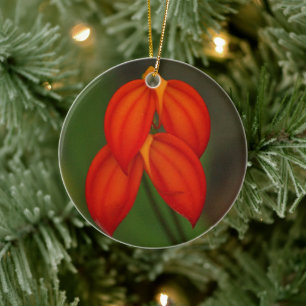 Masdevallia ignea Orchid Ceramic Tree Decoration