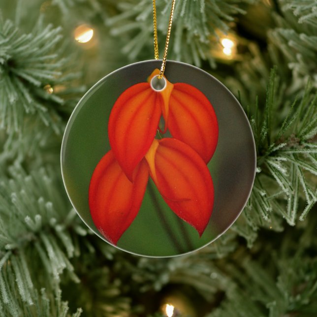 Masdevallia ignea Orchid Ceramic Tree Decoration (Tree)