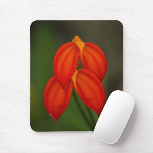 Masdevallia ignea Orchid Mouse Mat (With Mouse)
