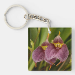 Masdevallia Key Ring