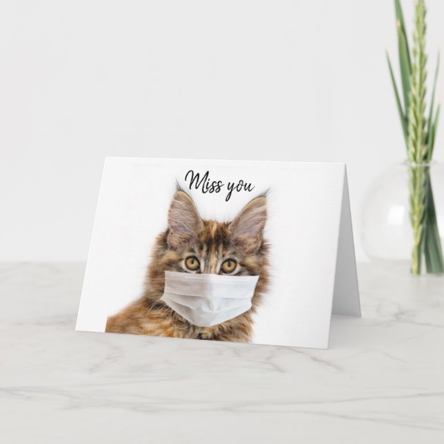 Mask wearing Maine Coon cat Card (Front)