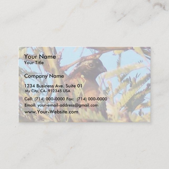 Masked Bob White Quail Business Card (Front)