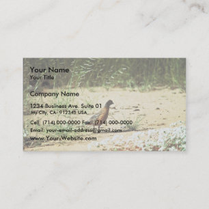Masked Bobwhite Business Card