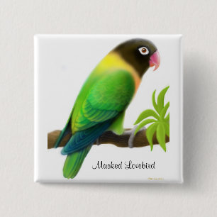 Masked Lovebird Green Pin