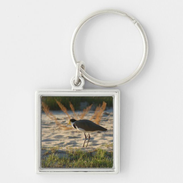 Masked Plover Key Ring (Front)