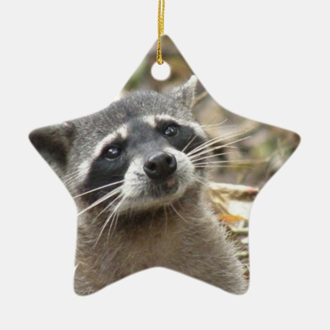 Masked Racoon Ornament (Front)