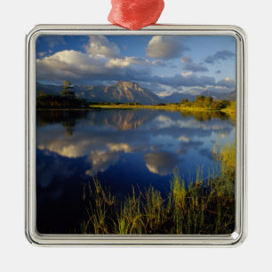 Maskinonge Lake in Waterton Lakes National Park Metal Tree Decoration