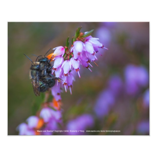 Mason and Heather Photo Print (Front)