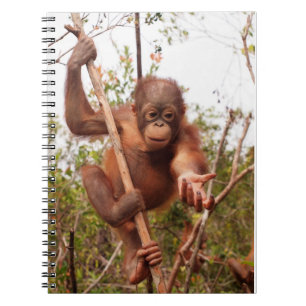 Mason Orangutan - Lend Me a Hand Notebook