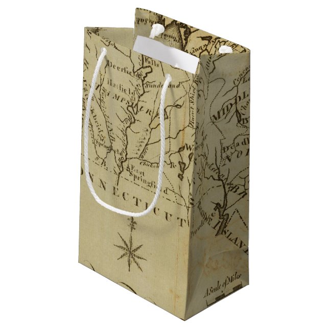 Massachusetts 3 small gift bag (Back Angled)